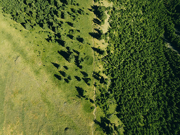 Bureau d'études en compost naturel