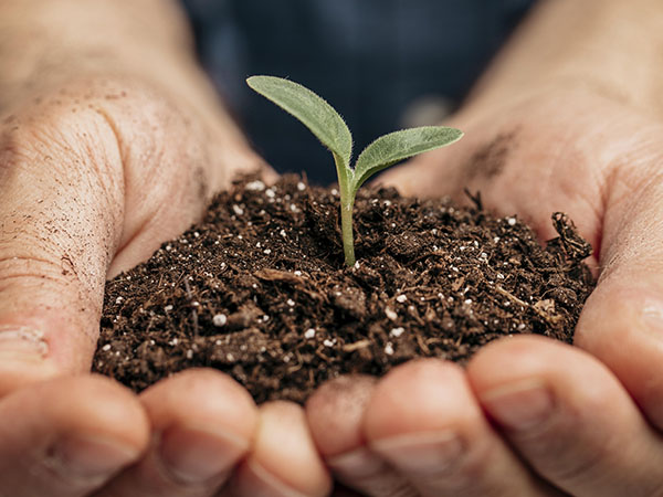 diagnostic sol compost